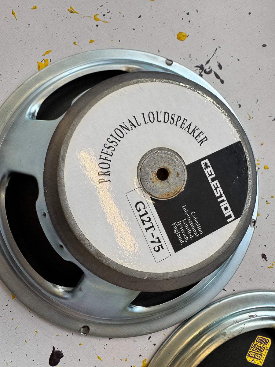 2x Celestion G12T-75 Speakers