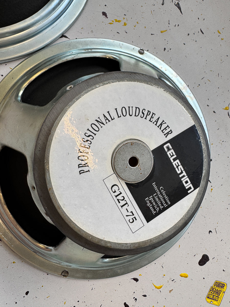 2x Celestion G12T-75 Speakers