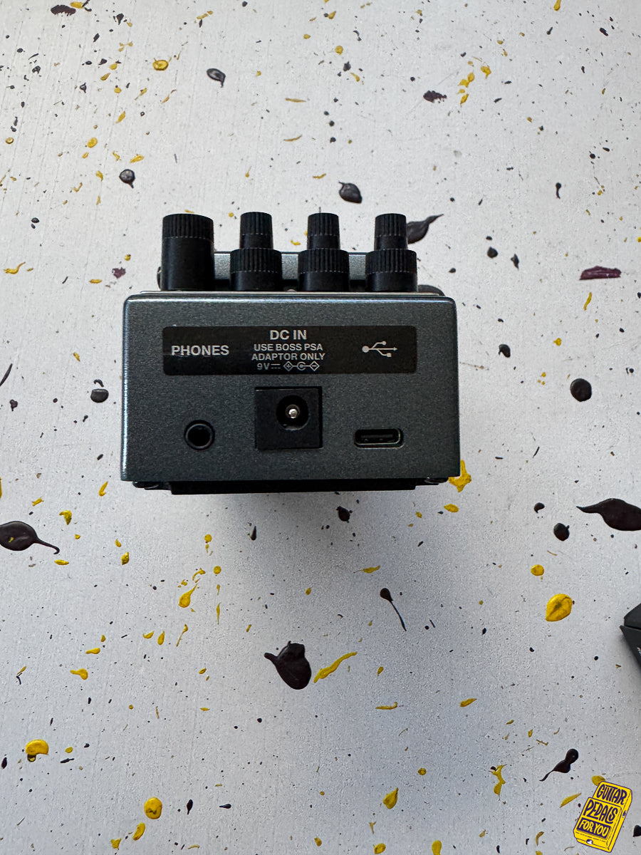 Boss IR-2 Amp & Cabinet