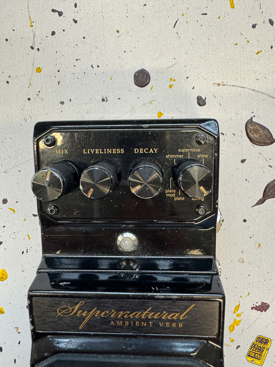 DigiTech Supernatural Stereo Ambient Reverb Pedal