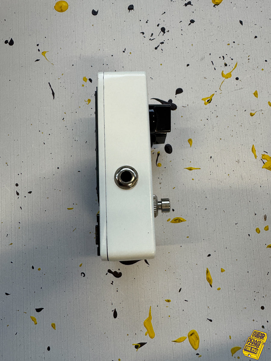 VGS Guitars Blue Bayou - Blues Overdrive